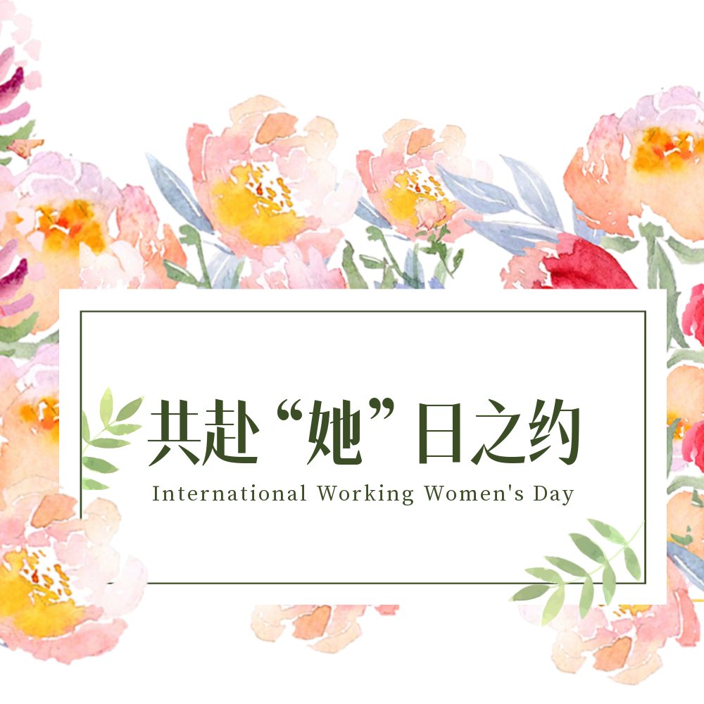 公司新闻